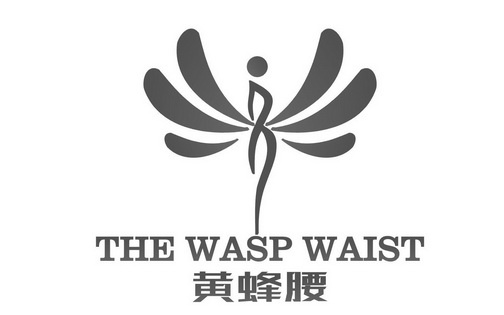 wasp-waist图片