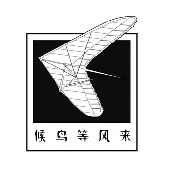  em>候鸟 /em> em>等风来 /em>