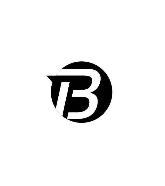 13 - 商标 - 爱企查