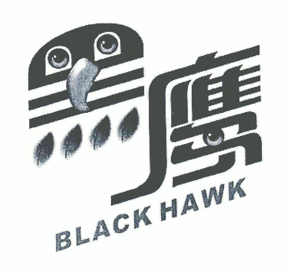 黑鹰;black hawk                           