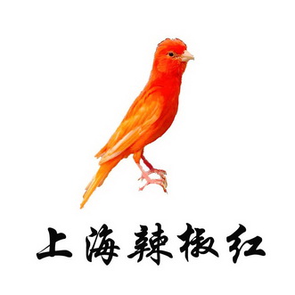 上海辣椒红商标注册申请申请/注册号:42331642申请日期:2019-11-14