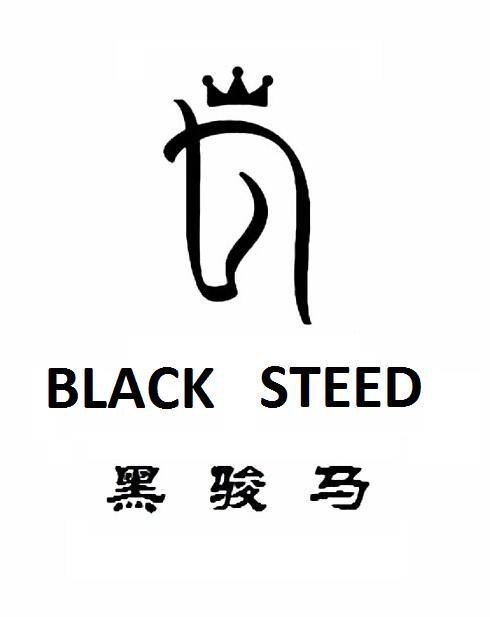 黑 em 骏马 /em  black  em steed /em