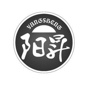 南阳升号