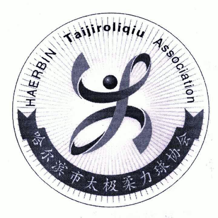 哈尔滨市太极 em>柔力球 /em>协会;haerbin taijirouliqiu