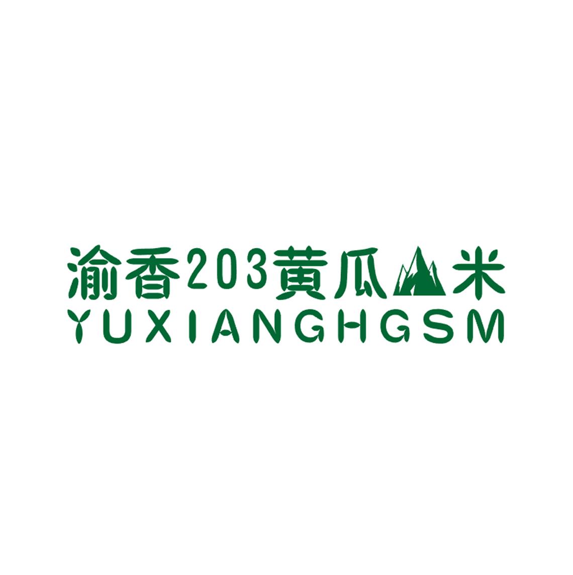 渝香203黄瓜 米 yuxianghgsm