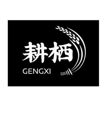 四川成都商标事务所有限公司申请人:遂宁市聚众龙翔粮油加工厂国际