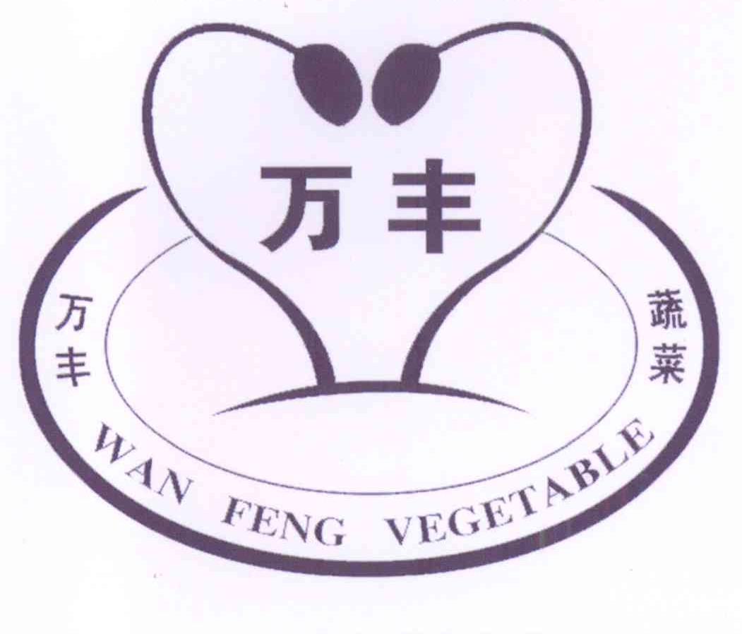 万丰蔬菜 wan feng em>vegetable/em>