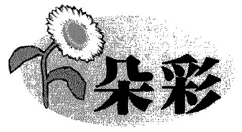 朵彩 企业商标大全 商标信息查询 爱企查