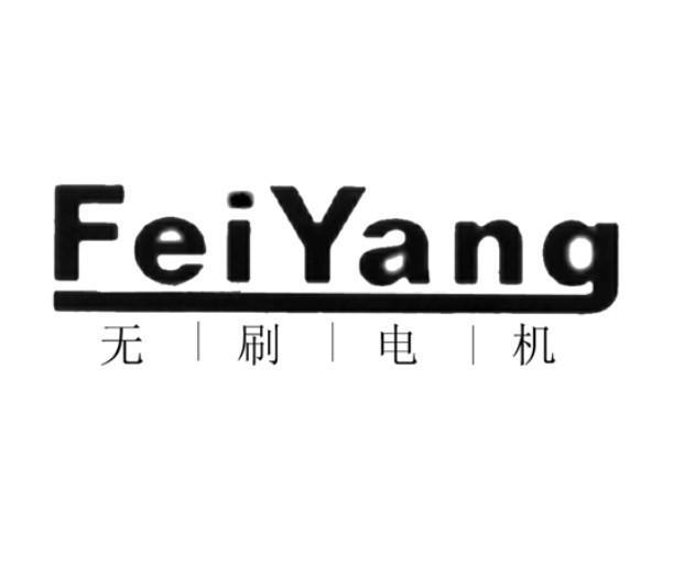  em>无刷 /em> em>电机 /em>  em>feiyang /em>