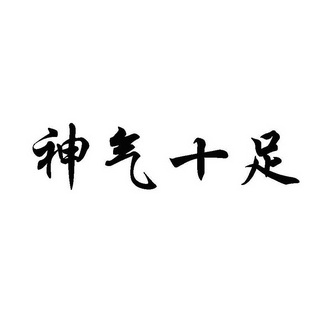 em 神气 /em  em 十足 /em