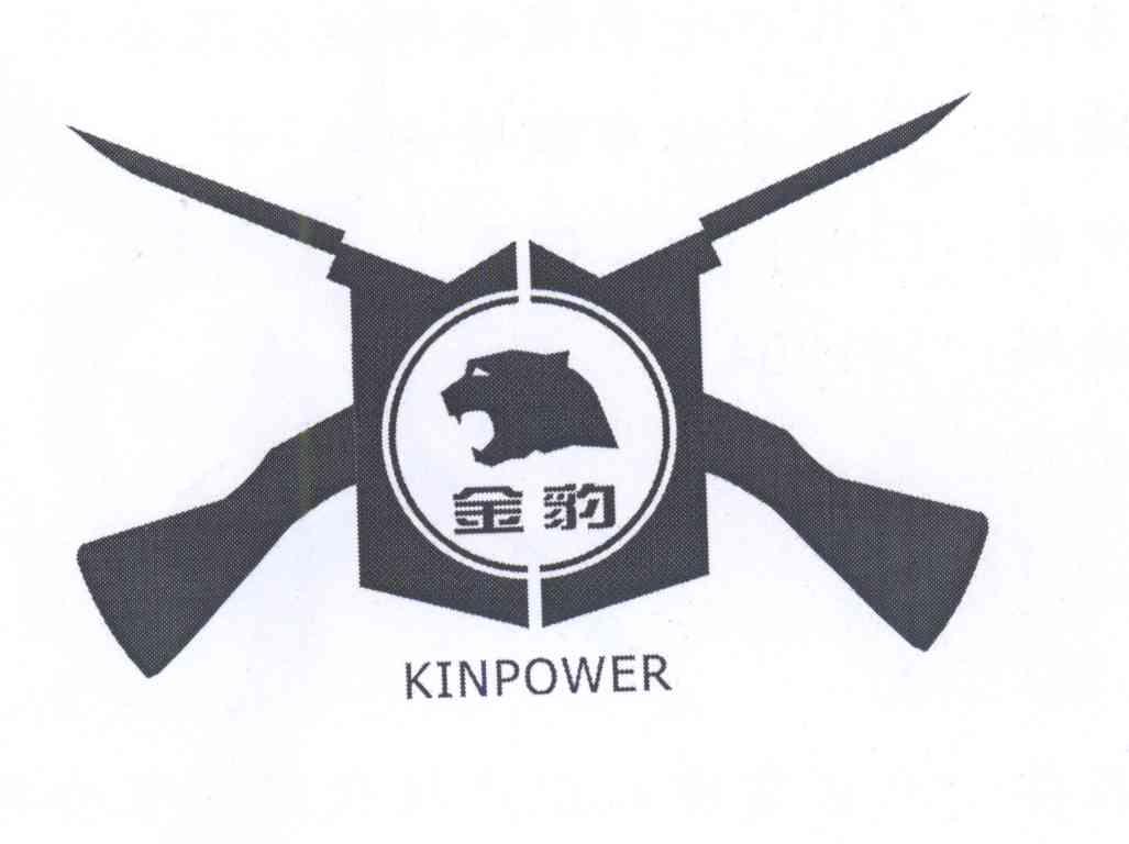  em>金豹 /em> em>kinpower /em>