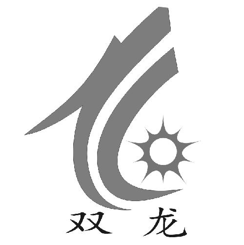 双龙                                      