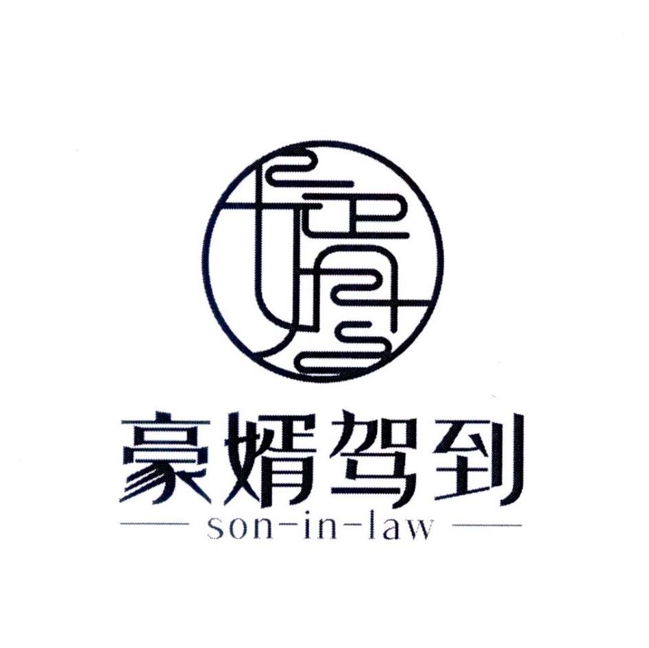 豪婿驾到 em>son/em-in em>law/em>