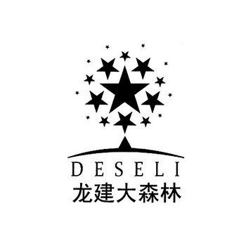 龙建大森林 em>deseli/em>