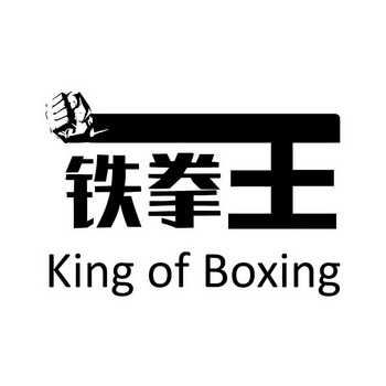 铁拳王 king of boxing