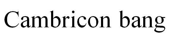  em>cambricon /em>  em>bang /em>