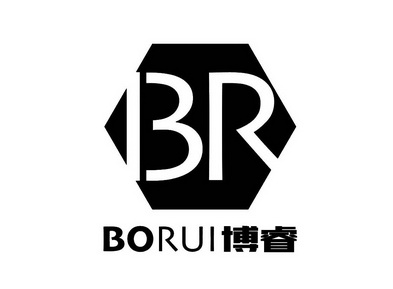  em>博睿 /em>  em>br /em>