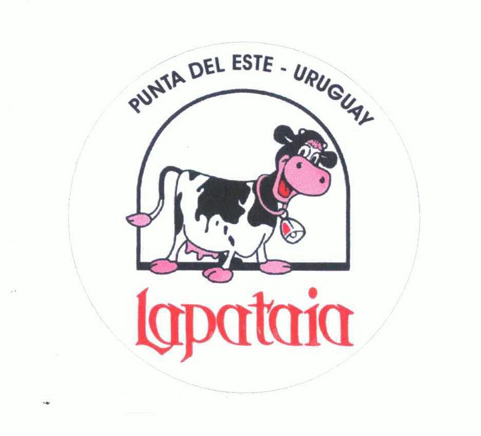 lapataiapuntadelesteuruguay_企业商标大全_商标信息查询_爱企查