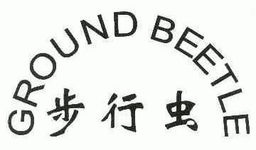 步行虫;ground beetle