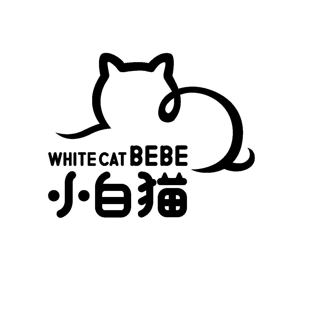  em>小白猫 /em>  em>white /em> cat bebe