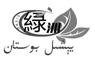  em>绿洲 /em>  em>oasis /em>