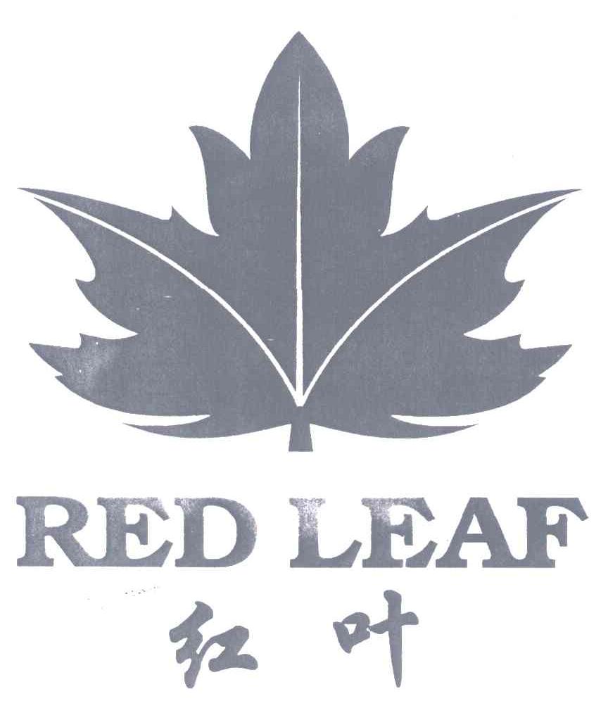  em>红叶 /em>; em>red /em>  em>leaf /em>