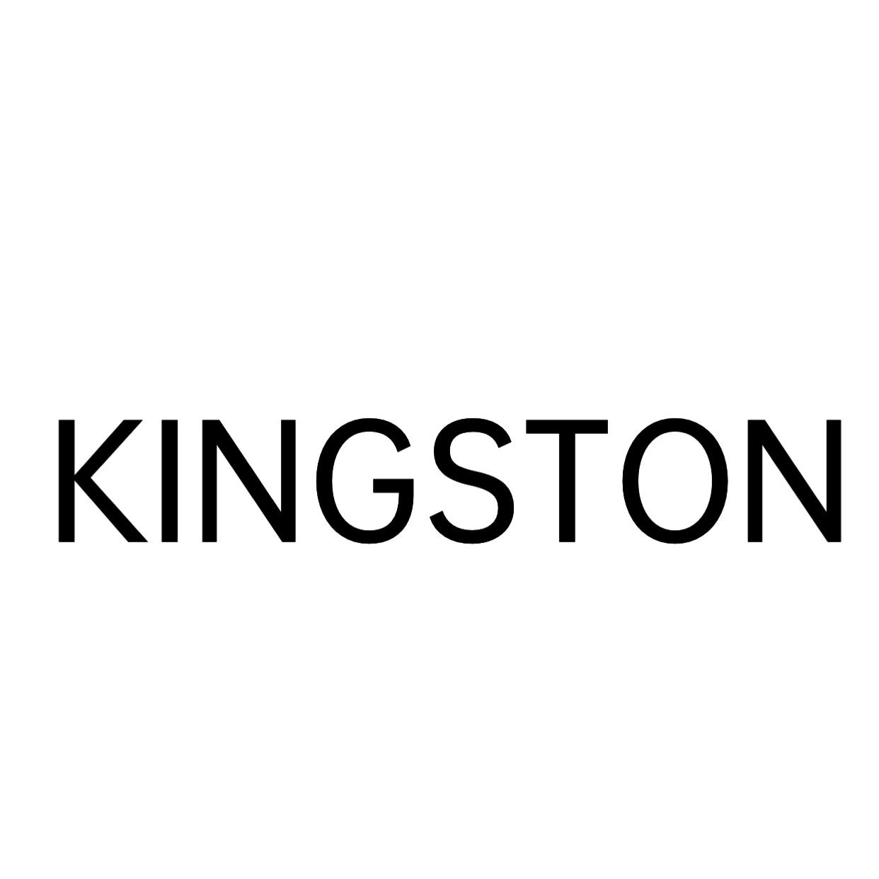 kingstonlogo图片