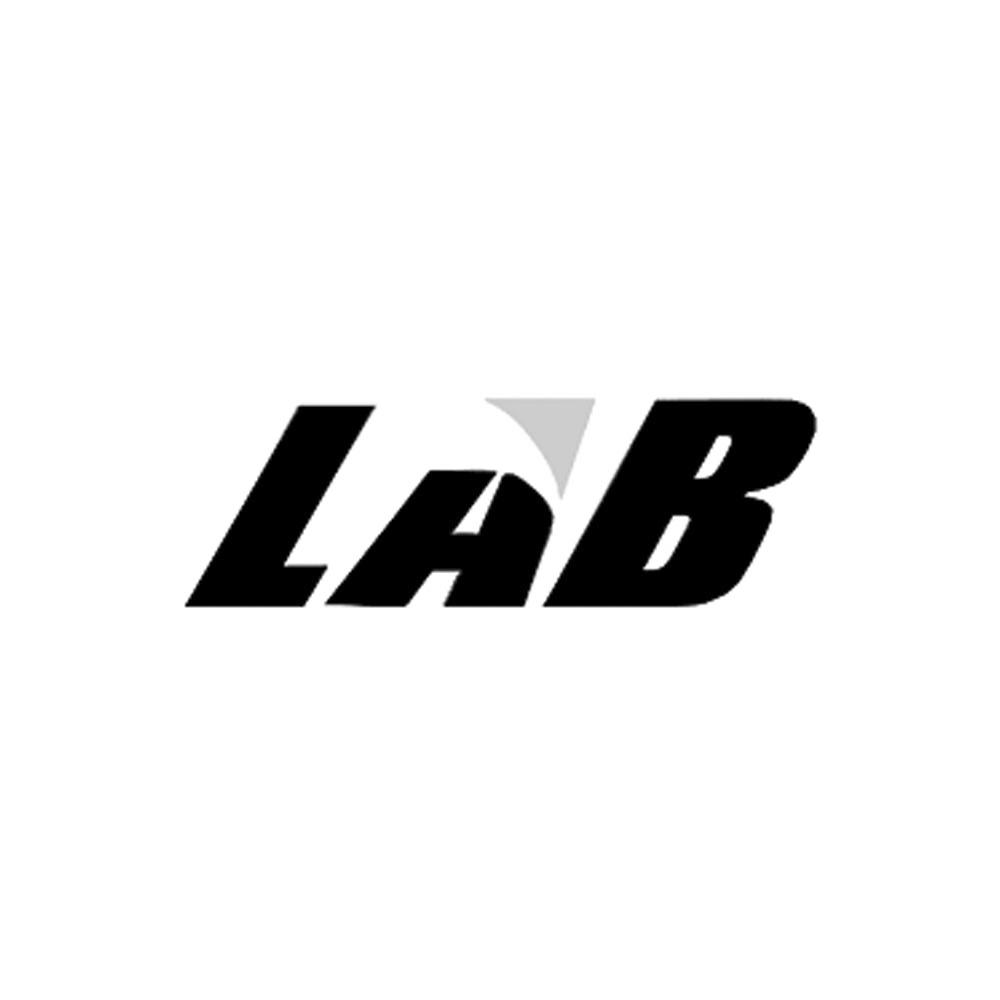 lab - 商标 - 爱企查