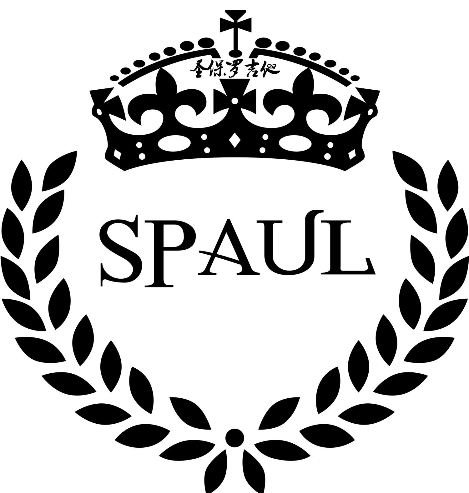 spaul 圣保罗吉他申请被驳回不予受理等该商标已失效