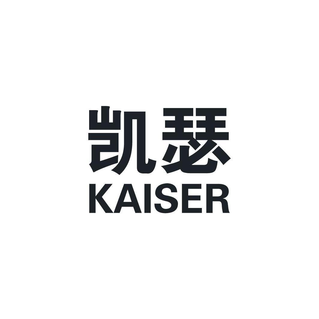  em>凯瑟 /em> em>kaiser /em>