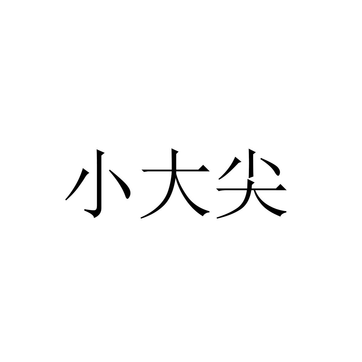 小大尖_企业商标大全_商标信息查询_爱企查