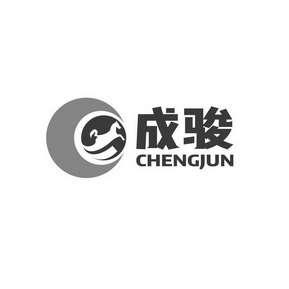  em>成 /em> em>骏 /em>