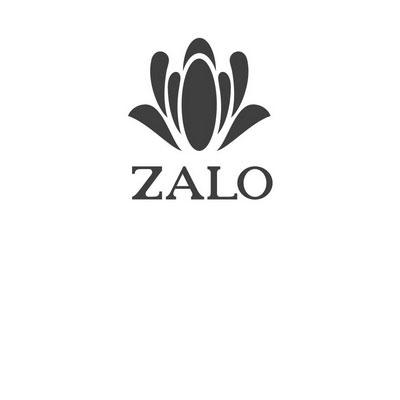 zalo logo图片