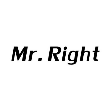 mrright_企业商标大全_商标信息查询_爱企查