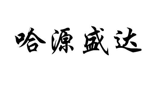 哈源盛达等待实质审查