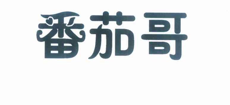  em>番茄哥 /em>