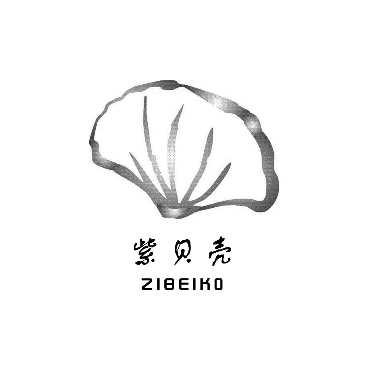 紫贝壳 zibeiko                            