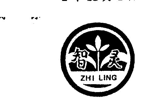 智灵- 商标 - 爱企查