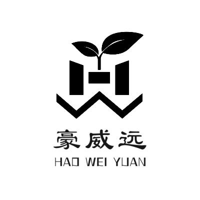 hw公司考试(hw公司是什么公司)