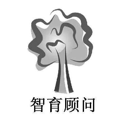  em>智育 /em> em>顾问 /em>