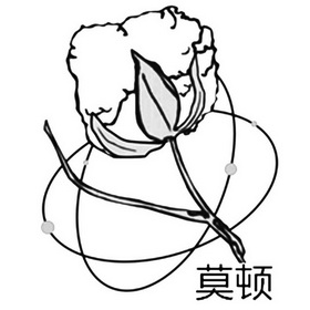 莫顿 商标注册申请