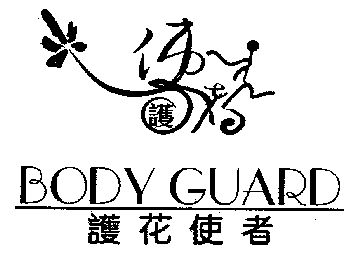护花使者;body guard