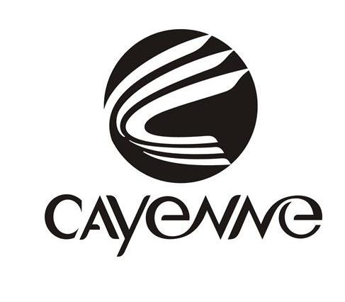 cayenne_企业商标大全_商标信息查询_爱企查