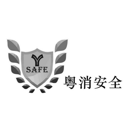  em>粤 /em>消 em>安全 /em> y safe