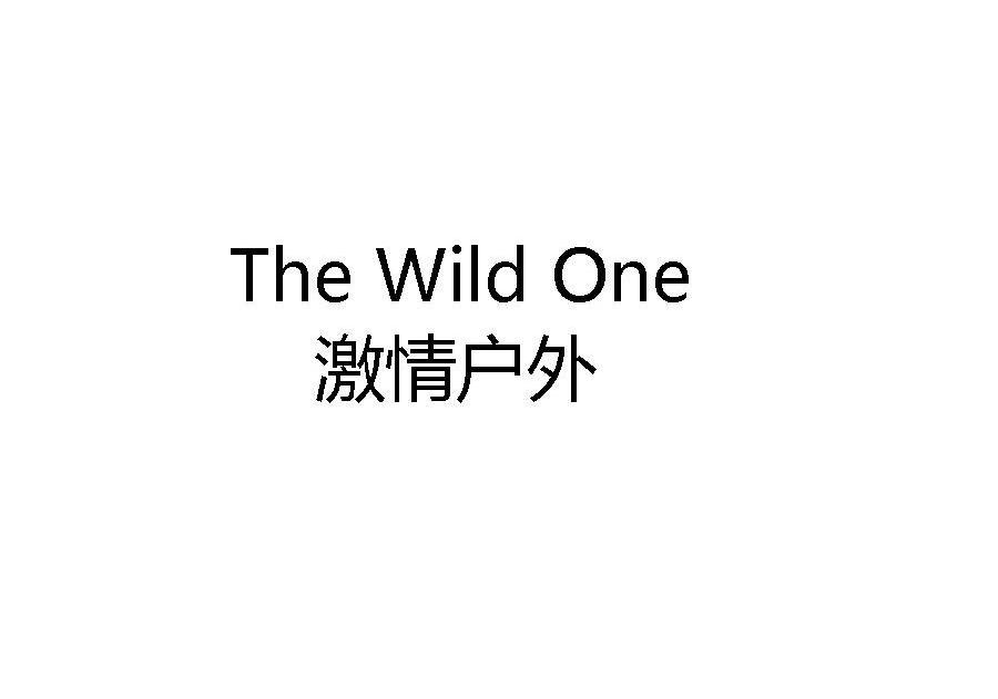  em>激情 /em> em>户外 /em> the  em>wild /em>  em>one /em>