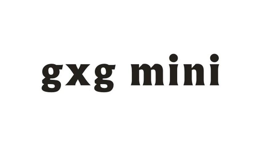 gxg mini 