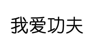 我爱功夫 - 企业商标大全 - 商标信息查询 - 爱企查