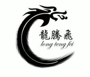  em>龙 /em> em>腾飞 /em>