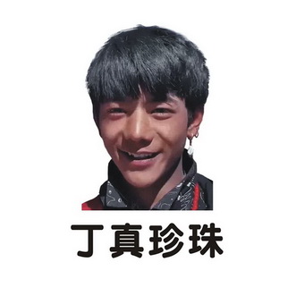 39类-运输贮藏商标申请人:四川小马少年文化传媒工作室办理/代理机构