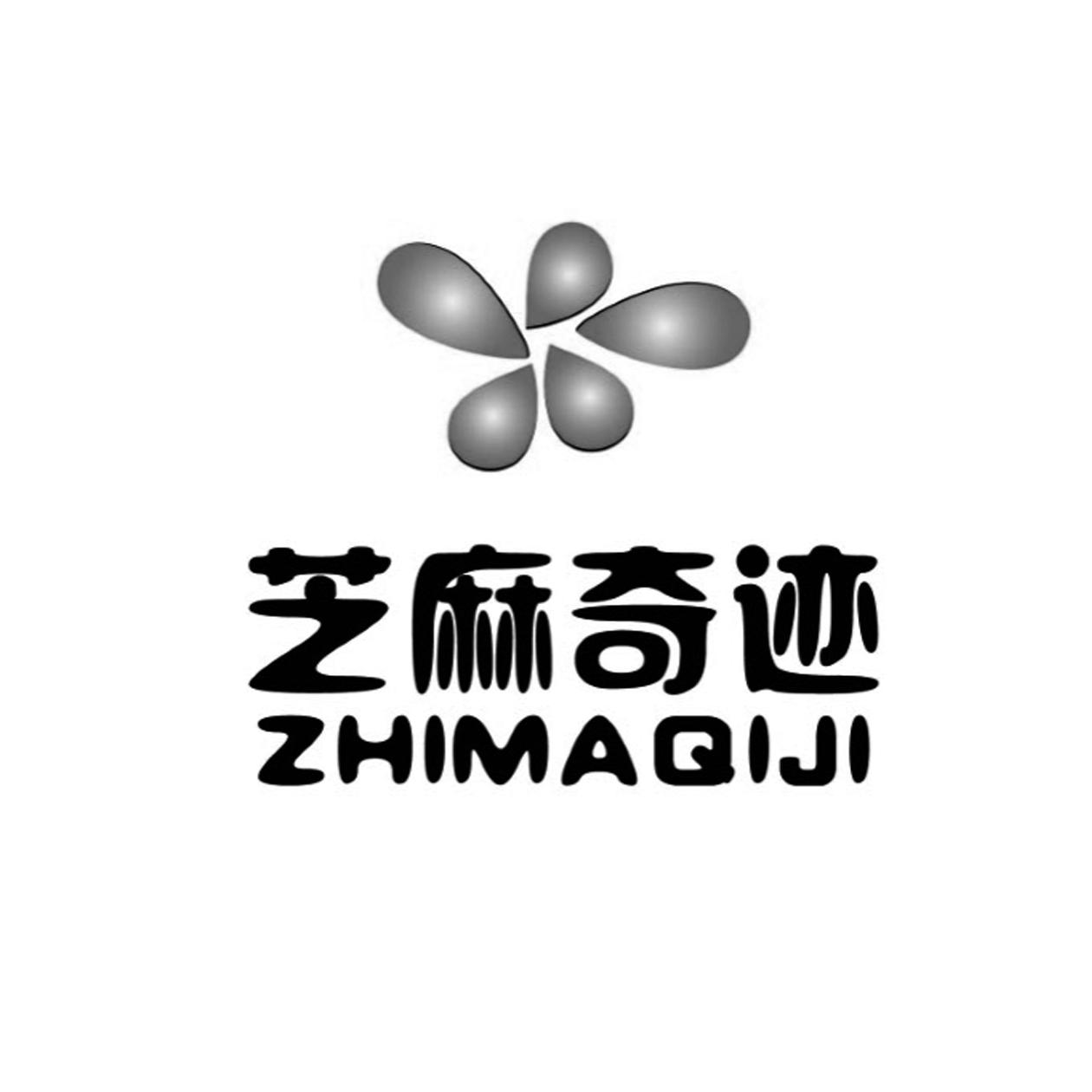  em>芝麻 /em> em>奇迹 /em>